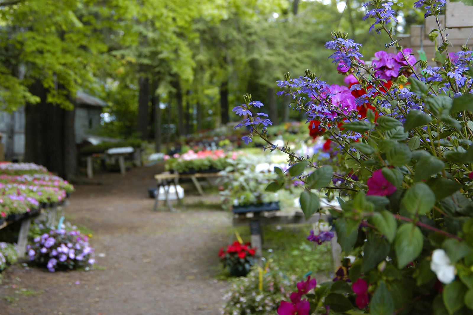 Photo Gallery Pointes North Hotel Resort