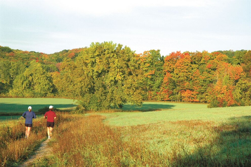 Fall Hickory Hills Hiking